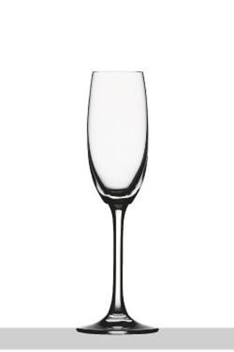 Imagen de Festival cava