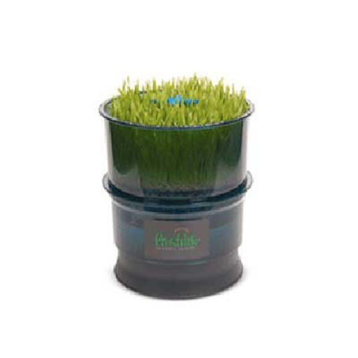 Imagen de ICC germinador freshlife